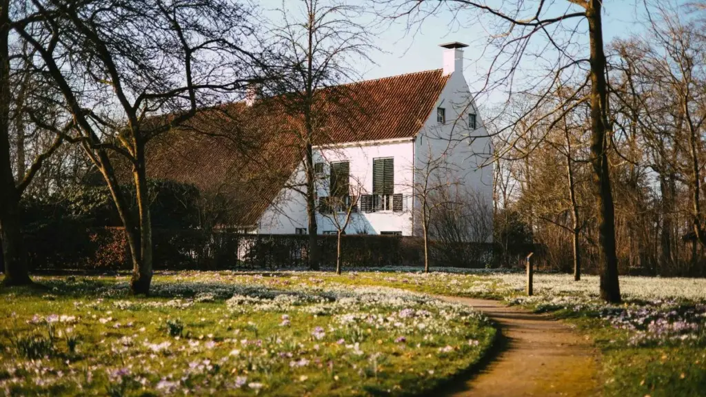A explorar Niebert: descubra o Iwema Steenhuis e a árvore mais grossa de Groningen