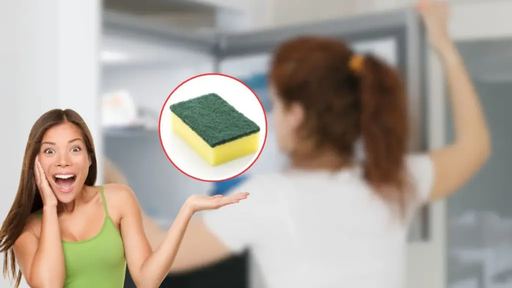 Para Que Serve Colocar uma Esponja de Louça no Congelador